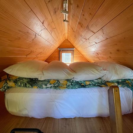 Studio Or Cabin On Whitby Nelson Bagian luar foto
